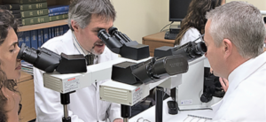Cytology Ιστολογικό - Κυτταρολογικό Σύστημα